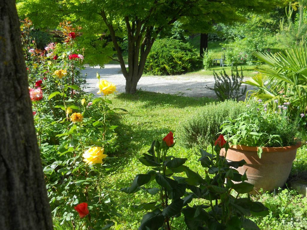Tenuta Calabiana Diano dʼAlba Pokój zdjęcie
