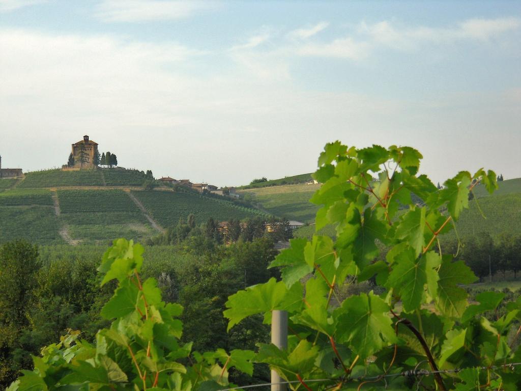 Tenuta Calabiana Diano dʼAlba Pokój zdjęcie